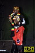 Lee Scratch Perry (Jam) with The White Belly Rats - Back To The Roots Festival, Elbufer, Dresden 16. Juli 2005 (15).jpg